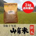 お米　鹿児島県　山有