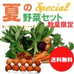  овощи комплект Кагосима префектура лето. специальный овощи . яйцо. комплект бесплатная доставка YM удобрение .... безопасность безопасный . овощи . сельское хозяйство . прямой поставкой доставка!