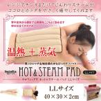  новый hot & пар накладка LL(30×40×2cm) Fuji quotient повторение можно использовать 