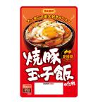 焼き豚玉子飯のたれ ５人前（20g×5P）日本食研/2283ｘ６袋セット/卸 カンタン子供大好きメニュー/送料無料メール便 ポイント消化