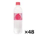 水 シリカ水 美いね シリカシリカ 500ml×48本(2ケース) ミネラルウォーター シリカ ケイ素 (ケース出荷) 送料無料