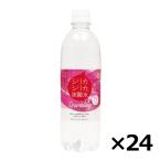 水 シリカ水 シリカシリカ炭酸水 500ml×24本（1ケース） スパークリングウォーター 炭酸水 シリカ ケイ素 （ケース出荷） 送料無料