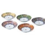 ショッピング皿 食器 お皿 取り皿 5寸皿 14cm 波佐見焼 セット 献上古伊万里 取皿揃 31081