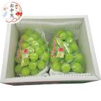 お中元専用商品 シャインマスカット(2房・800g) 冷蔵商品