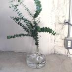 ショッピングドライフラワー おしゃれなガラス製の花瓶・フラワー ベース、ドライフラワーの花器にもおすすめ［BOB CRAFT〈ボブクラフト〉ファゴット L（クリア）］サラサデザイン sarasa