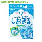 しおまる ひんやりサイダー味 30g - サラヤ公式