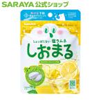 しおまる ひんやりレモンソーダ味 30g - サラヤ公式