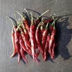 a..koshou сухой красный острый перец 10g ультра . красный острый перец красный красный острый перец местного производства традиция овощи 