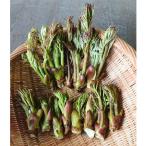 ta.. .500g натуральный дикоросы треска. . дикоросы .. высота гора производство 