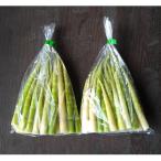  корень изгиб бамбук . бамбук вода .4 пакет 1kg натуральный дикоросы .. высота гора производство Gifu префектура высота гора город 