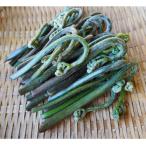  ключ ...500g натуральный дикоросы . ключ .walabi дикоросы .. высота гора производство Gifu префектура высота гора город 