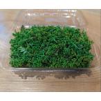  Hanayama . новый предмет сырой плоды зантоксилума. цветок 50g.. высота гора производство * ограниченное количество 