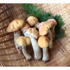  натуральный shougenji com saw bow ztake500g натуральный .. ... производство 