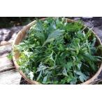  сырой ... новый .500g натуральный .. новый .yomogi.. высота гора производство 
