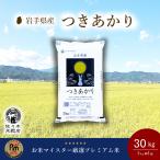 つきあかり 米 30kg 白