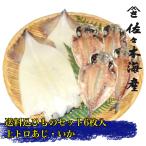 ランキング1位獲得 新井B 送料込み干物6枚セット トロあじイカの一夜干し 母の日ギフト父の日お歳暮お取り寄せ 真鯵アジスルメイカいか送料無料ひもの詰め合わせ