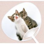 . собака *. кошка веер "uchiwa" серии [ три шерсть кошка ]