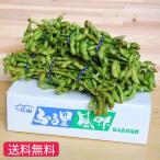 ショッピング1kg 丹波黒枝豆 丹波篠山産（1kg×５束）