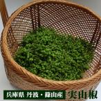 実山椒（生）1kg 丹波市・丹波篠山市産