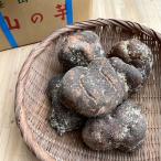  Tanba гора. клубень ( Tanba . гора производство ) super товар в коробке ..2kg