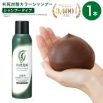 利尻炭酸カラーシャンプー 180g 無添加 白髪用 日本初 濃密泡 頭皮潤い成分 染まる 色持ちアップ 頭皮ケア 泡立て不要 スカルプエキス サスティ Sastty