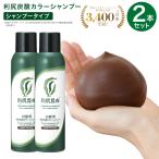 利尻炭酸カラーシャンプー 2本セット 180g 無添加 白髪用 日本初 濃密泡 頭皮潤い成分 染まる 色持ち 泡立て不要 スカルプエキス サスティ Sastty