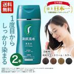 利尻カラークリーム 2本セット 170g 無添加 白髪用 染毛力 色持ち 白髪ケア しっかり染まる キレイな髪色 ヘアマニキュア キューティクル サスティ Sastty