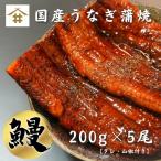 ショッピングうなぎ 蒲焼き 国内産 送料無料 国産 鹿児島県産 うなぎ 蒲焼き 送料無料(本州のみ)「特大うなぎ蒲焼 200ｇ×5尾」無投薬 熟成 うなぎタレ 山椒付き 鰻 うなぎ ギフト