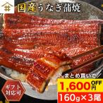 国産 鹿児島県産 うなぎ蒲焼き 160ｇ×3尾 無投薬 熟成 うなぎタレ 山椒付き 鰻 うなぎ ギフト さかな