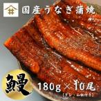 国産 鹿児島県産 うなぎ 蒲焼き 送料無料(本州のみ)「うなぎ蒲焼 180ｇ×10尾」無投薬 熟成 うなぎタレ 山椒付き 鰻 ウナギ ギフト