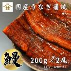 国産 鹿児島県産 うなぎ 蒲焼き 送料無料(本州のみ)「うなぎ蒲焼 200g×2尾」無投薬 熟成 うなぎタレ 山椒付き 鰻 うなぎ ギフト さかな