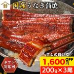 国産 鹿児島県産 うなぎ蒲焼き 200g×3尾 無投薬 熟成 うなぎタレ 山椒付き 鰻 うなぎ ギフト さかな
