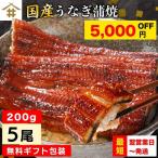 まとめ買いが超お得! 送料無料(本州のみ) 国産 鹿児島県産「うなぎ蒲焼き 200g×5尾」 送料無料(本州のみ) 無投薬 タレ 山椒付き 鰻 ギフト さかな