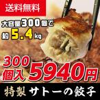 【送料無料】容量約5.4Kg生ギョーザ300個入り　餃子タレ付