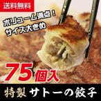 ショッピングギョーザ 【送料無料】冷凍ギョーザ５パック-75個入り　餃子タレ付