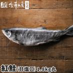  нерка 1.8kg( круг )