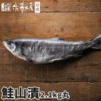  лосось гора .2.1kg( круг )
