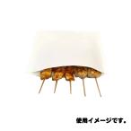 （ケース販売）ラミパック NO.50　300