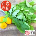 rukola1 пакет (85~100g) Yamagata префектура . внутри производство трава Rocket душистые травы свежий земля предмет овощи . добродетель 