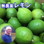 広島県産 能勢さんの 無農薬レモン 