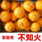 ショッピングデコポン 不知火 訳あり （デコポン 訳あり） 7.5kg 愛媛産 不知火 送料無料  訳あり