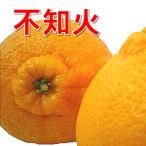 ショッピングデコポン 不知火 （デコポン） 贈答用 18-22個 約5kg 愛媛産 送料無料