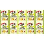 【送料込価格】 キッコーマン 豆乳おからパウダー120g×10個(ケース販売)