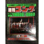  еженедельный гонг 1989 год 5 месяц 11 день номер No.255 / 4*24 Tokyo Dome решение битва цвет & текст цельный срочное сообщение 
