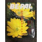 BE-PAL( Be Pal )2000 год 3 месяц номер gun ko родители . бренд ...!