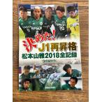  решение ..! J1 повторный .. Matsumoto гора .2018 все регистрация доверие . каждый день газета фирма 