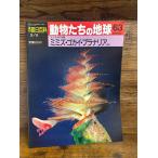 週刊朝日百科　動物たちの地球　63　ミミズ・ゴカイ・プラナリアほか