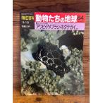 週刊朝日百科　動物たちの地球　64　アワビ・アメフラシ・ホタテガイほか