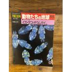週刊朝日百科　動物たちの地球　65　イカ・タコ・オウムガイほか