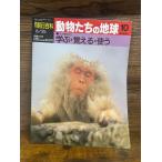 週刊朝日百科　動物たちの地球　10　学ぶ・覚える・使う